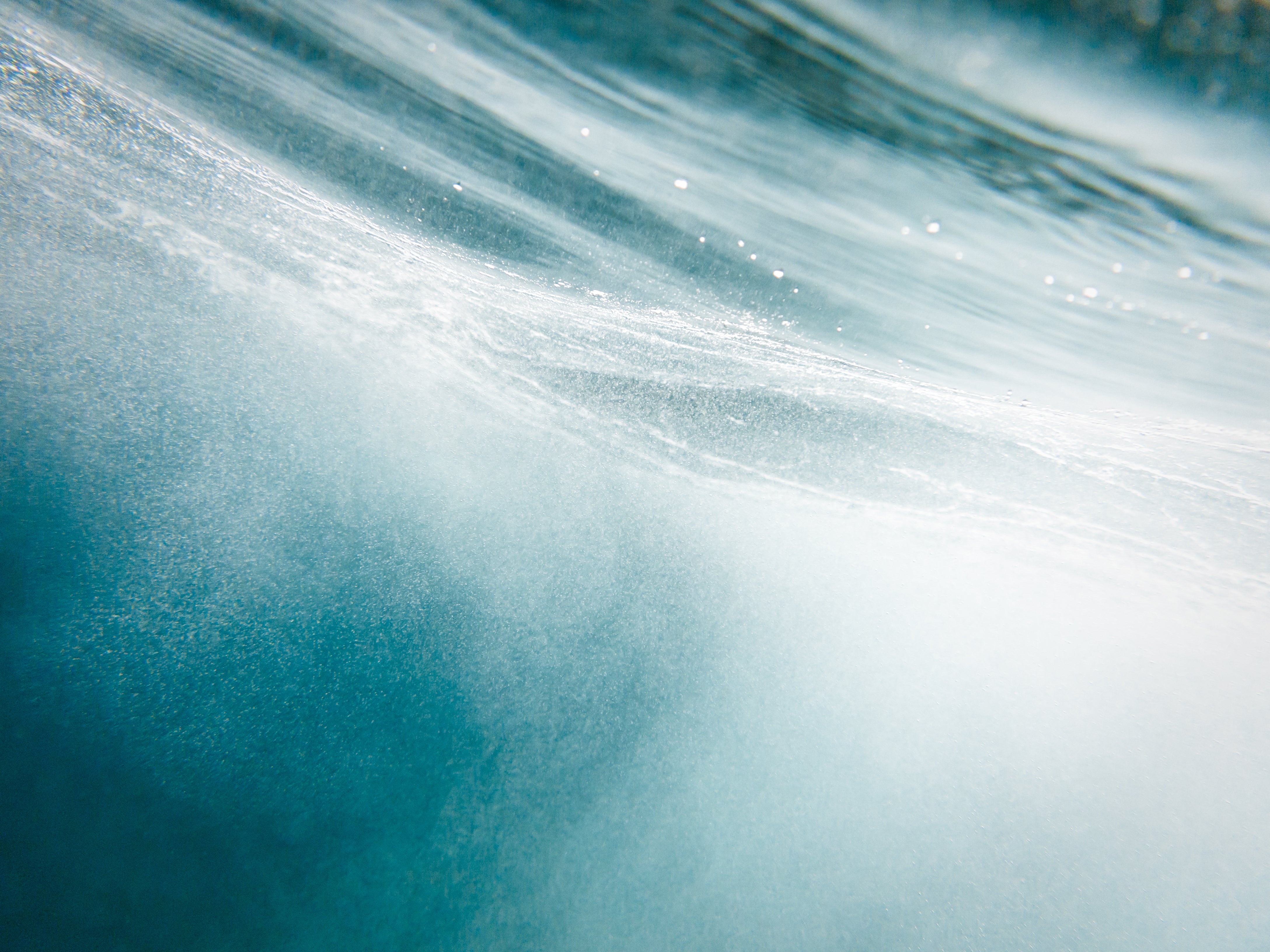 ocean life® | Algotherm