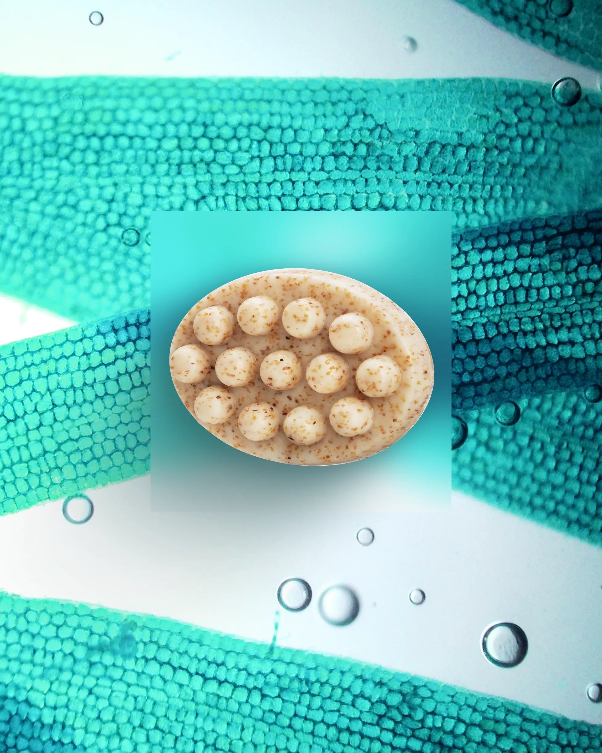 Savon Corps [Exfoliant]